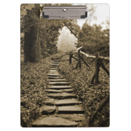 Pranchetas Caminho para a Luz