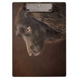 Pranchetas Cão De Cabelo Castanho