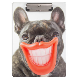 Pranchetas Cão de sorriso das imagens A de Getty