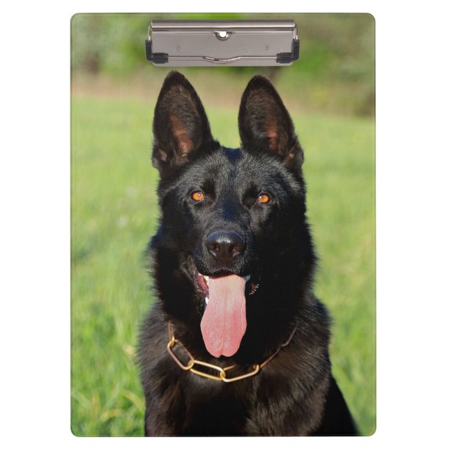 Pranchetas Cão German shepherd Preto - Cãozinho GSD (Frente)
