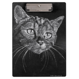 Pranchetas Cara do gato do conselho de grampo (sem fronteira)