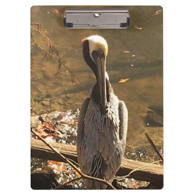 Pranchetas Castanho e Cinza com bico longo (Frente)