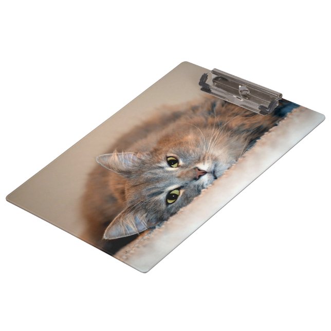 Pranchetas Cat Russo Azul de Cabelo Longo por Shirley Taylor (Inclinado)