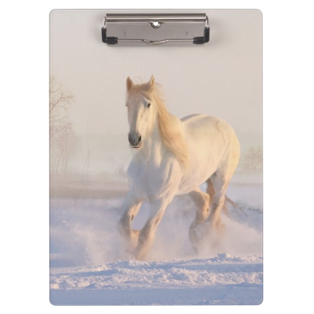 Pranchetas cavalo branco na neve (Frente)