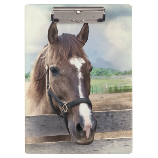 Pranchetas Cavalo de Brown com cabeçada (Frente)
