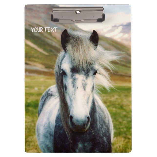 Pranchetas Cavalo de Cinza selvagem (Frente)