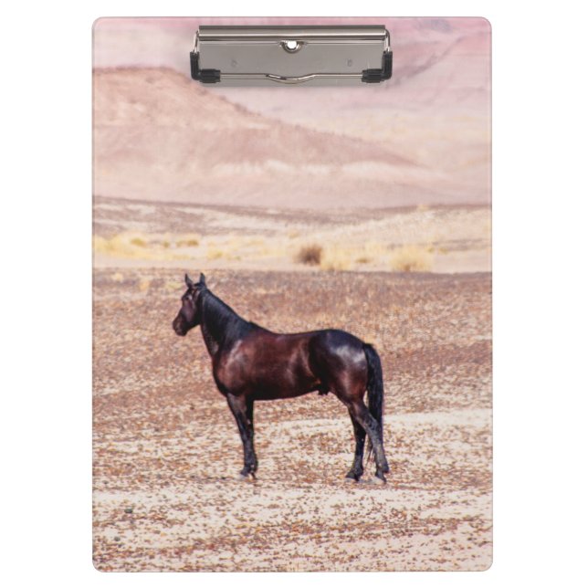 Pranchetas Cavalo do Deserto P8664 (Frente)