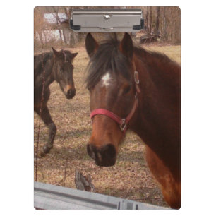 Pranchetas Cavalos de Brown