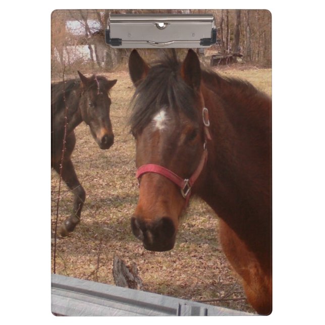 Pranchetas Cavalos de Brown (Frente)