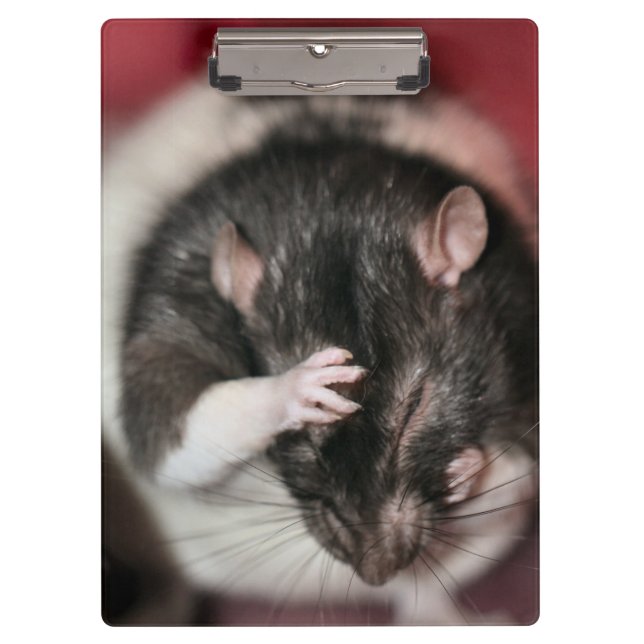 Pranchetas Cefaleia (Frente)