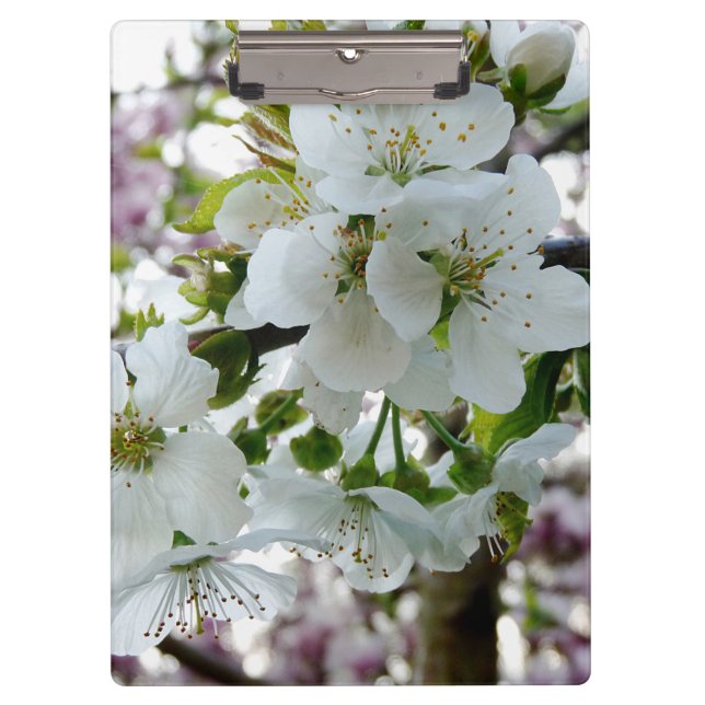 Pranchetas Cherry Blossom (Frente)
