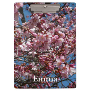 Pranchetas Cherry Blossoms e Blue Sky Primavera Floral