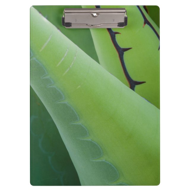 Pranchetas Close Up de Agave (Frente)