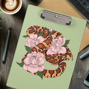 Pranchetas Cobra cor-de-rosa-milho verde