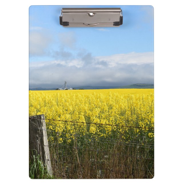 Pranchetas Colheita de ouros (Frente)