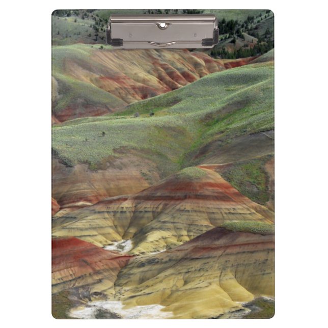 Pranchetas Colinas Pintadas, John Day Fossil Beds, Mitchell (Frente)