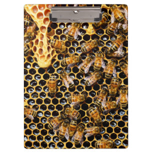 Pranchetas Colmeia de Abelhas com Honeycomb Próximo