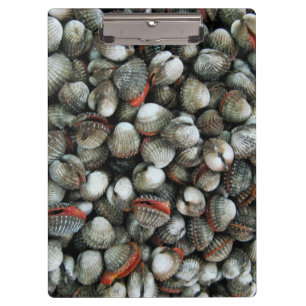 Pranchetas Conchas de Cockle de Sangue