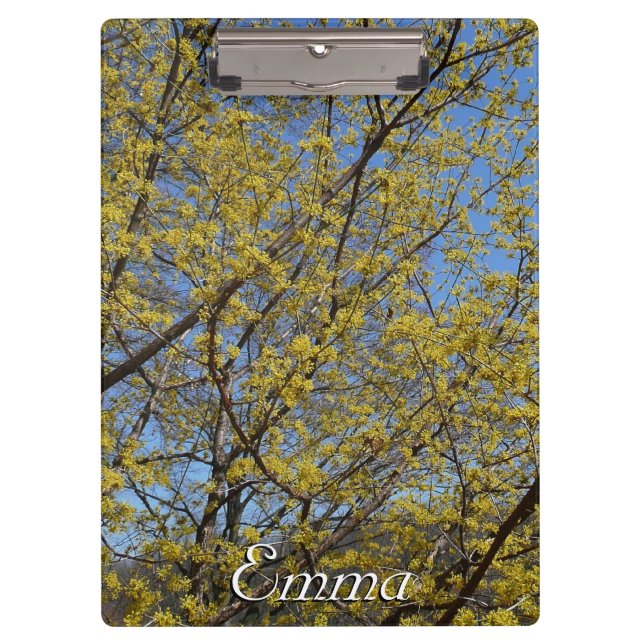 Pranchetas Cornelian Cherry Dogwood e Blue Sky Floral (Frente)