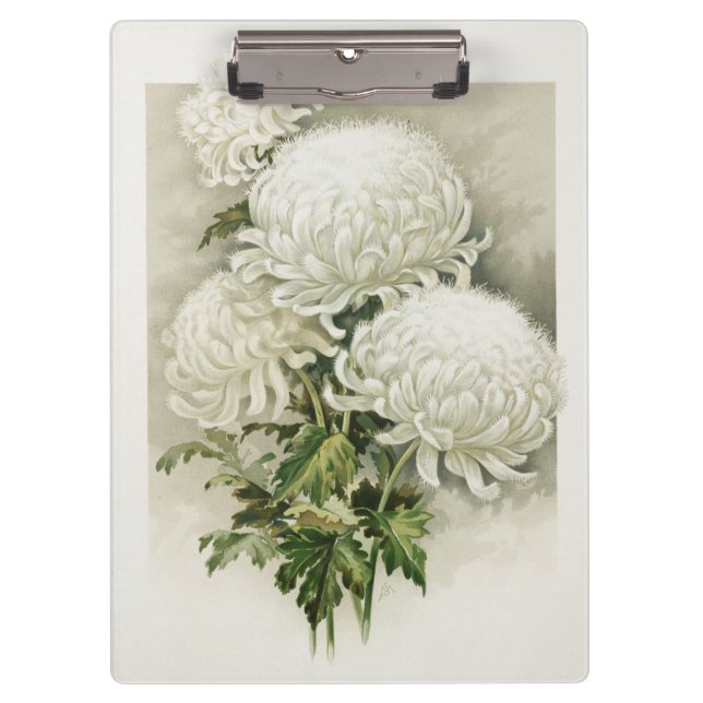 Pranchetas Crítemos - Elegante Vintage Botânica (Frente)