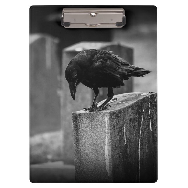 Pranchetas Crow do Cemitério de Queda (Frente)