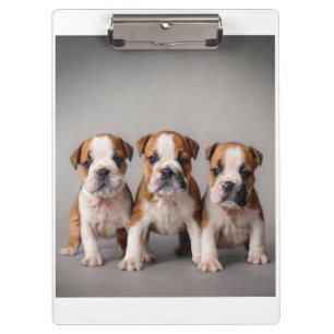 Pranchetas Cuppies de Bulldog Cortes Presente para adultos