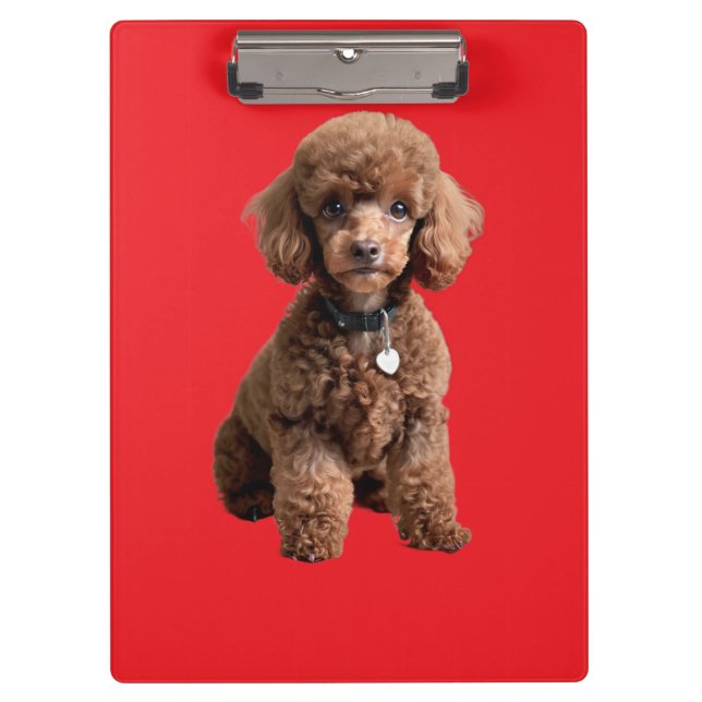 Pranchetas  Cute Teacup Poodle Red Folder (Frente)