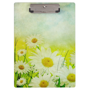 Pranchetas Daisies