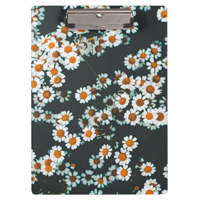 Pranchetas Daisy Daisies Floral (Frente)