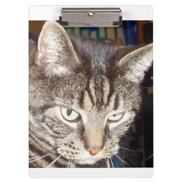 Pranchetas Dave está assistindo a você. (Frente)