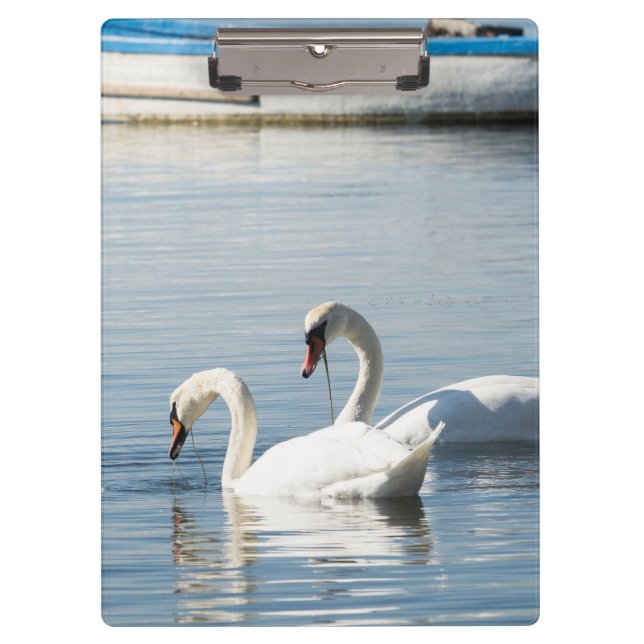 Pranchetas Dois cisnes (Frente)