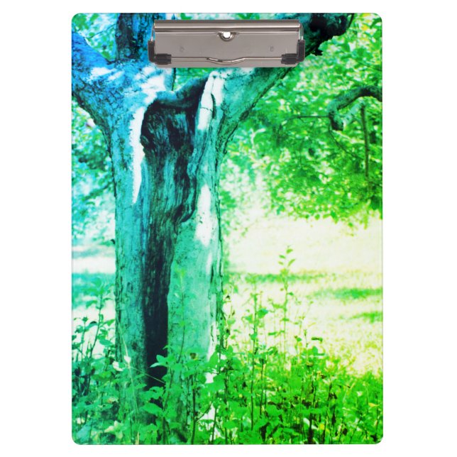 Pranchetas Duas Almas Passando (Frente)