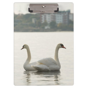 Pranchetas Duas cisnes