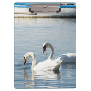 Pranchetas Duas cisnes