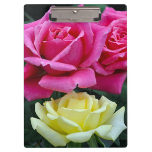 Pranchetas Duas rosas cor-de-rosa
