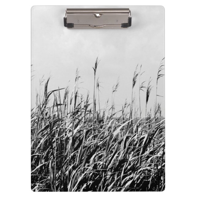 Pranchetas Dune Triptych III (Frente)