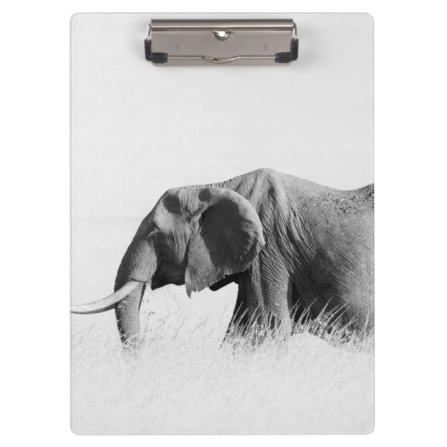 Pranchetas Elefante de solitário (Chave Alta) (Frente)