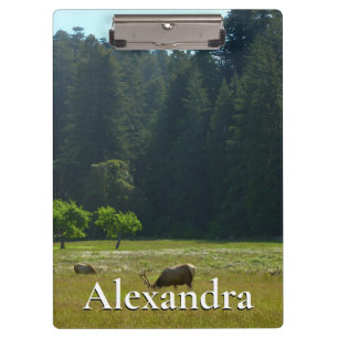 Pranchetas Elk Meadow no Parque Nacional Redwood