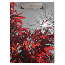 Pranchetas Embers of Autumn