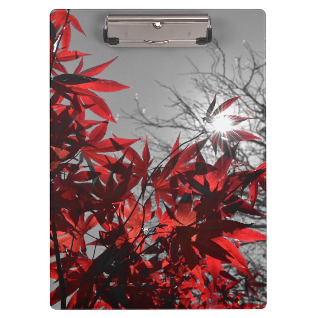 Pranchetas Embers of Autumn (Frente)