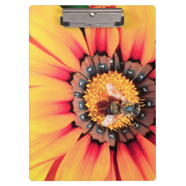 Pranchetas Encerramento Extremo De Uma Abelha Que Coleta O Pó (Frente)