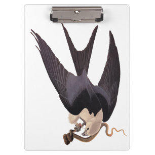 Pranchetas Engolir Hawk Alcance com Cobra Vintage Audubon
