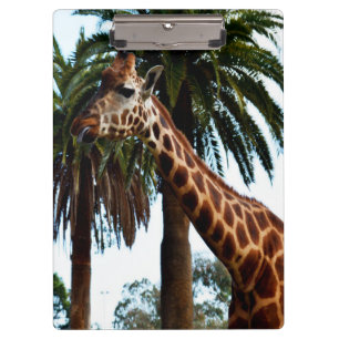 Pranchetas Engraçado Girafa Dando Um Framboesa,