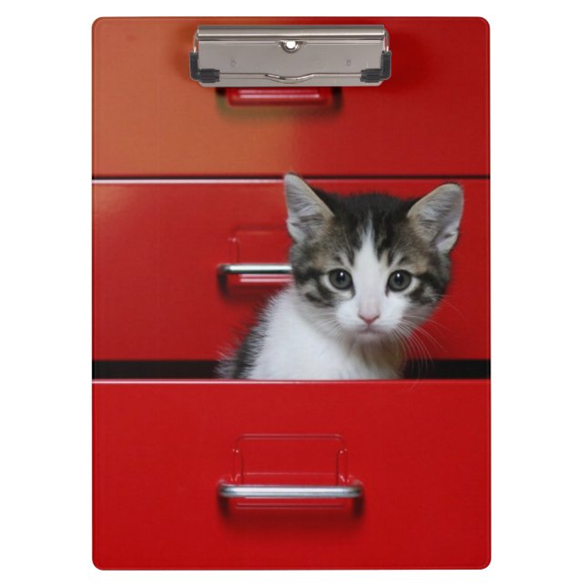 Pranchetas Espreitar do gatinho (Frente)