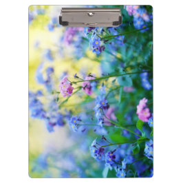 Pranchetas Esqueçam-me-não-flores