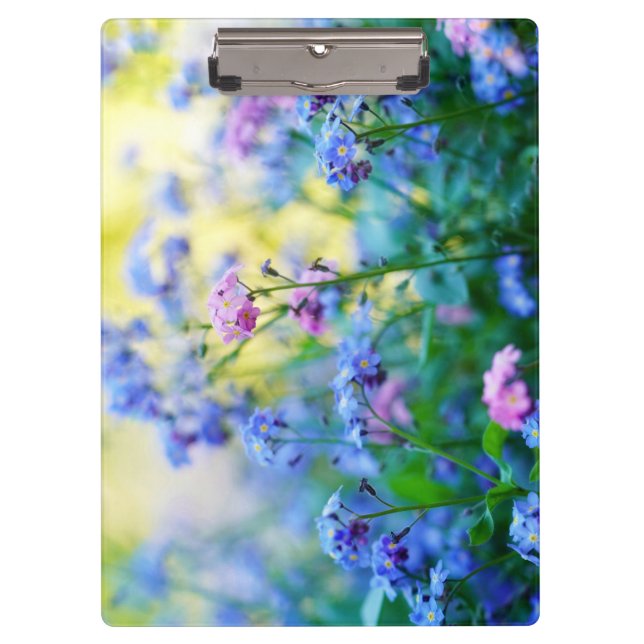 Pranchetas Esqueçam-me-não-flores (Frente)