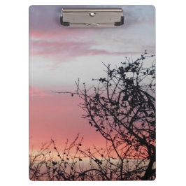 PRANCHETAS ESTILO E DESIGN DA PLACA