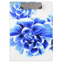 PRANCHETAS ESTILO E DESIGN DA PLACA