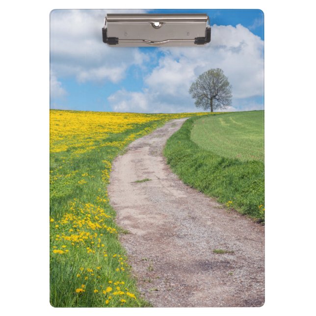 Pranchetas Estrada de Terra e Árvore (Frente)