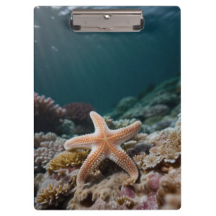 Pranchetas Estrela-do-mar no Mar Profundo